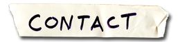 contact information